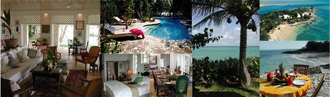 collage of island photos