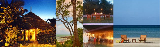 collage of island scenes